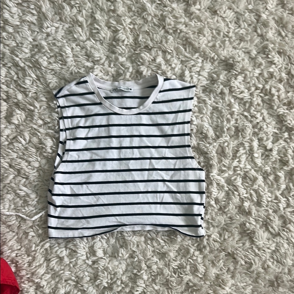 Zara Black and White Striped Crop Top
